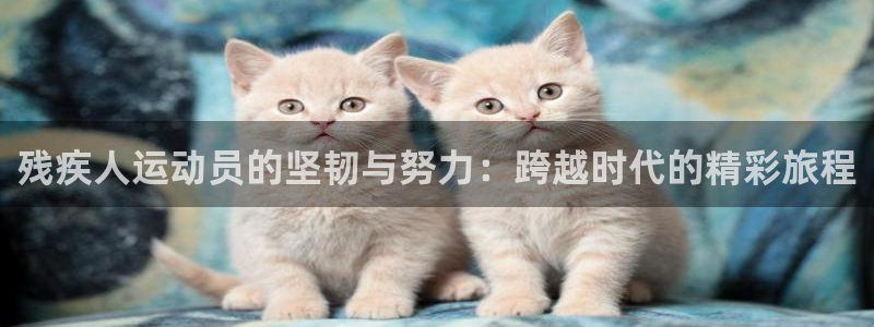 残疾人运动员的坚韧与努力：跨越时代的精彩旅程