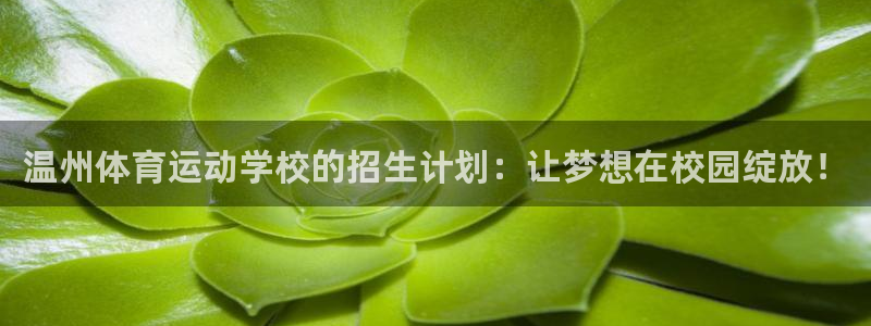 温州体育运动学校的招生计划：让梦想在校园绽放！