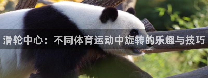 滑轮中心：不同体育运动中旋转的乐趣与技巧