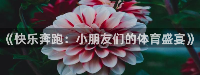 《快乐奔跑：小朋友们的体育盛宴》