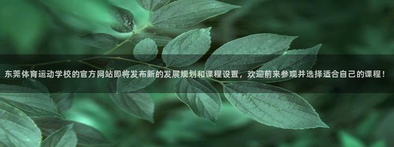 东莞体育运动学校的官方网站即将发布新的发展规划和课程设置，欢迎前来参观并选择适合自己的课程！