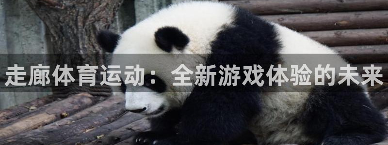 走廊体育运动：全新游戏体验的未来
