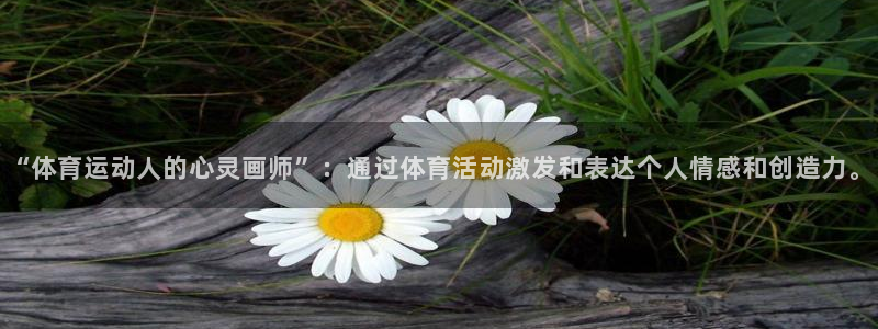 “体育运动人的心灵画师”：通过体育活动激发和表达个人情感和创造力。