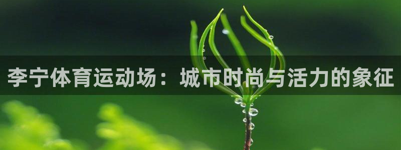 李宁体育运动场：城市时尚与活力的象征