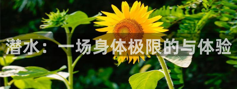 潜水：一场身体极限的与体验