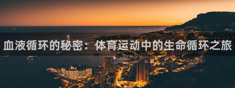血液循环的秘密：体育运动中的生命循环之旅