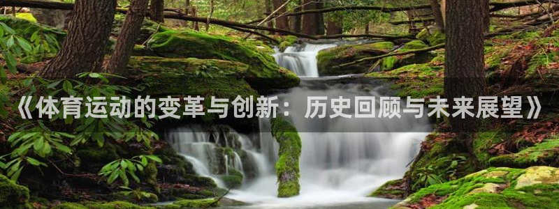《体育运动的变革与创新：历史回顾与未来展望》