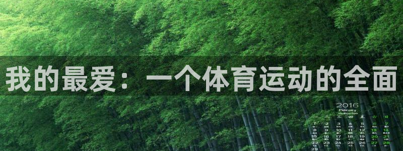 我的最爱：一个体育运动的全面