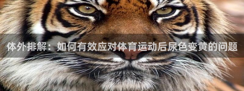 体外排解：如何有效应对体育运动后尿色变黄的问题