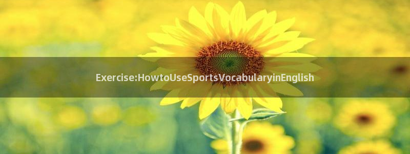 Exercise:HowtoUseSportsVocabularyinEnglish
