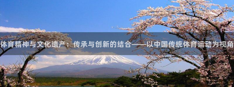 体育精神与文化遗产：传承与创新的结合——以中国传统体育运动为视角