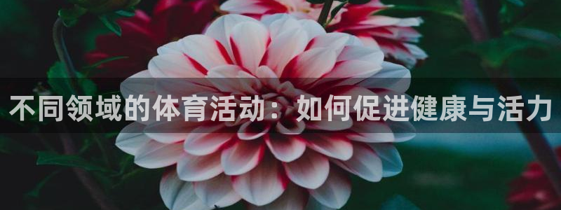 不同领域的体育活动：如何促进健康与活力