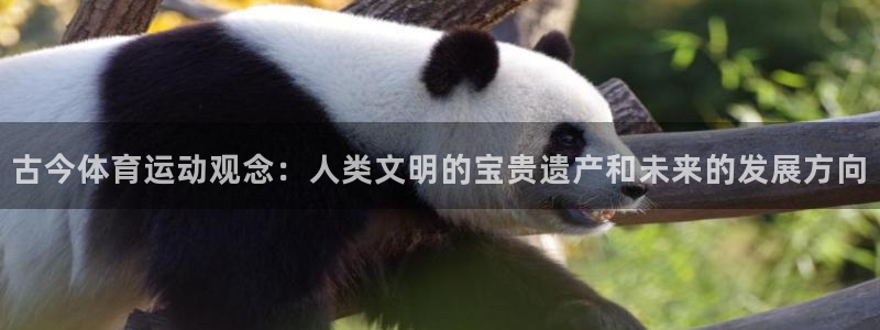 古今体育运动观念：人类文明的宝贵遗产和未来的发展方向