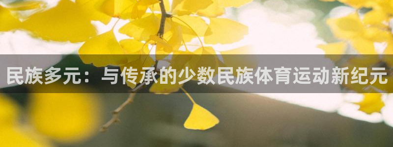 民族多元：与传承的少数民族体育运动新纪元
