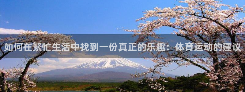 如何在繁忙生活中找到一份真正的乐趣：体育运动的建议