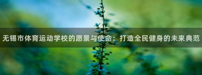 无锡市体育运动学校的愿景与使命：打造全民健身的未来典范