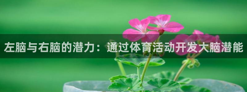 左脑与右脑的潜力：通过体育活动开发大脑潜能