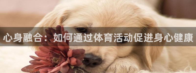 心身融合：如何通过体育活动促进身心健康