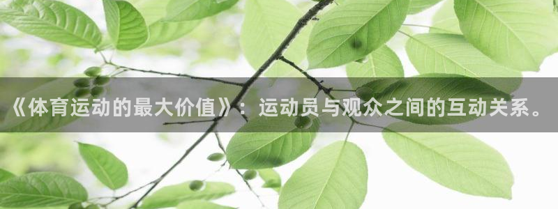 《体育运动的最大价值》：运动员与观众之间的互动关系。