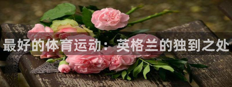 最好的体育运动：英格兰的独到之处