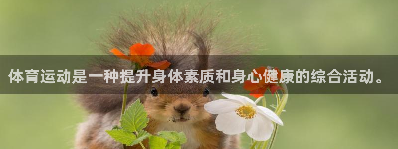 体育运动是一种提升身体素质和身心健康的综合活动。